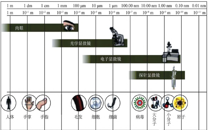 <strong>抗菌</strong>抗病毒纺织品研发现状及其汽车内饰面料开发思路